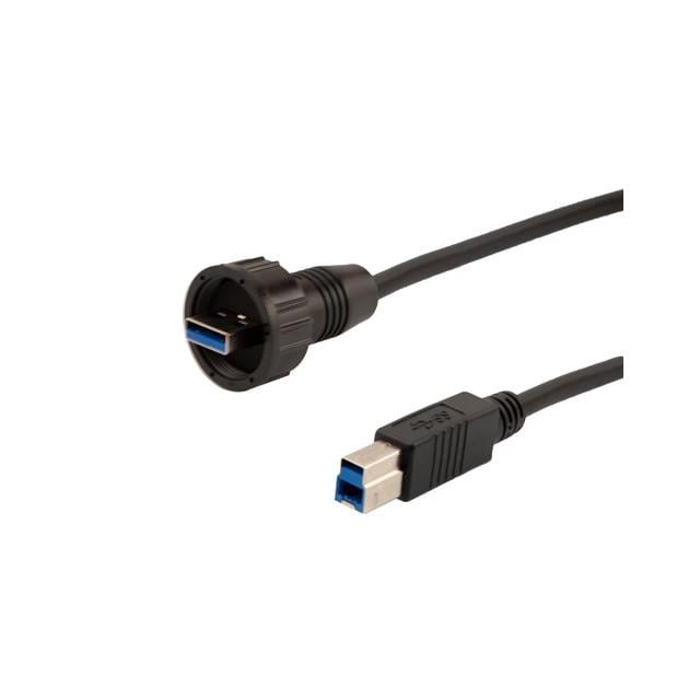 U3A00016-1M