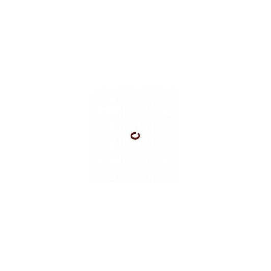 V1-MARKING-RING-RED
