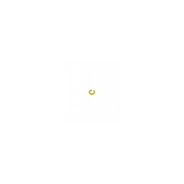 V1-MARKING-RING-YELLOW