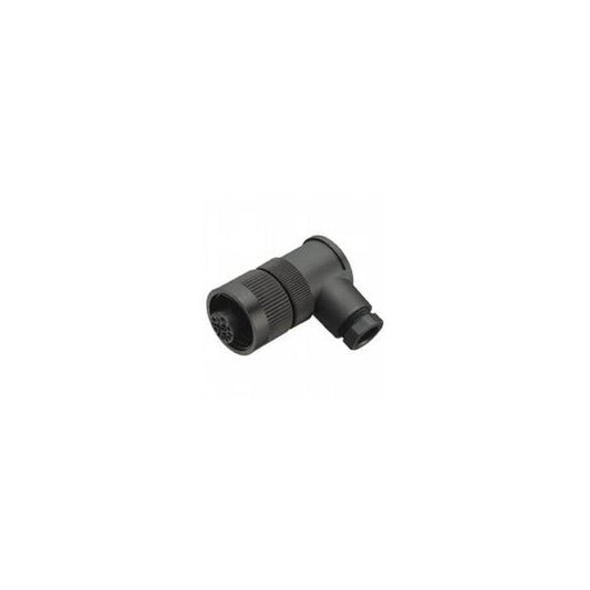 V16-W