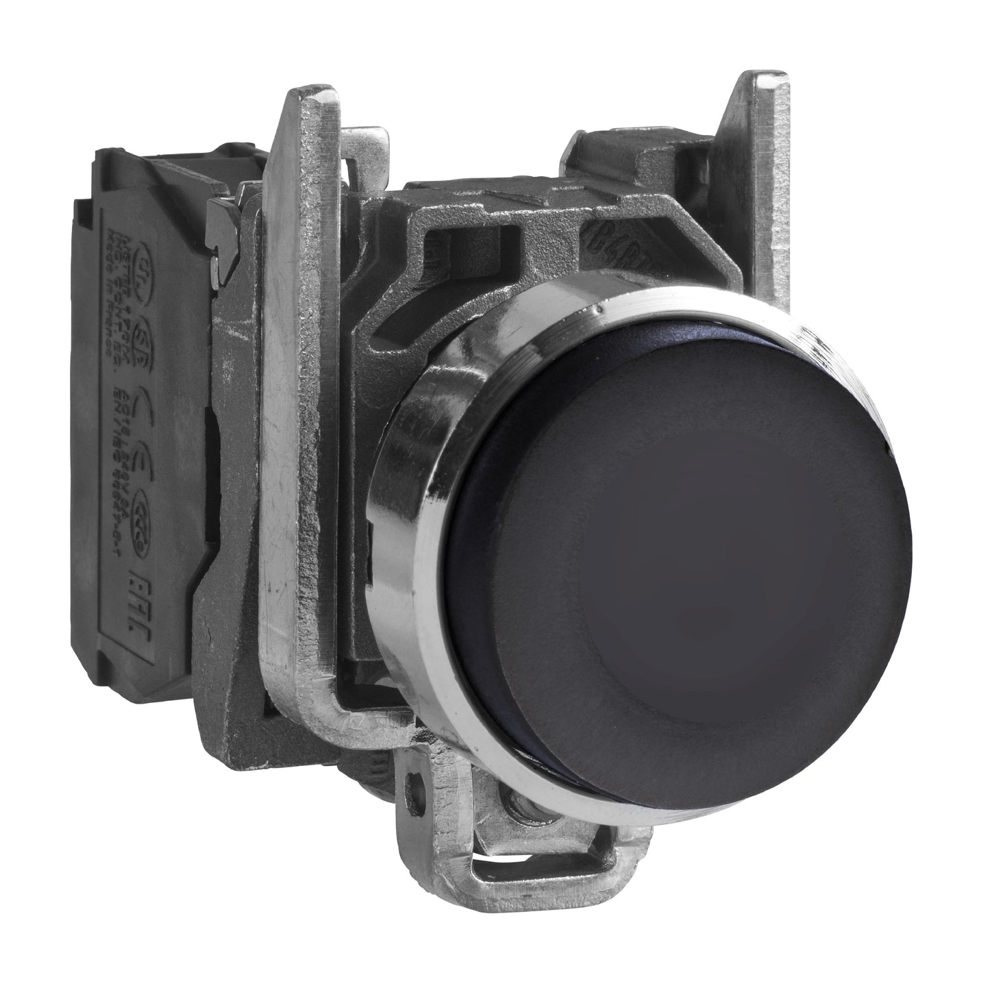 XB4BL21