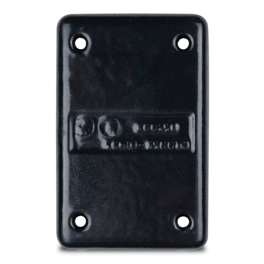 DS100G-W