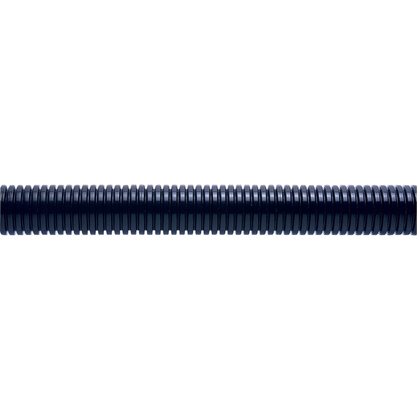 PAFL13/BL/100FT