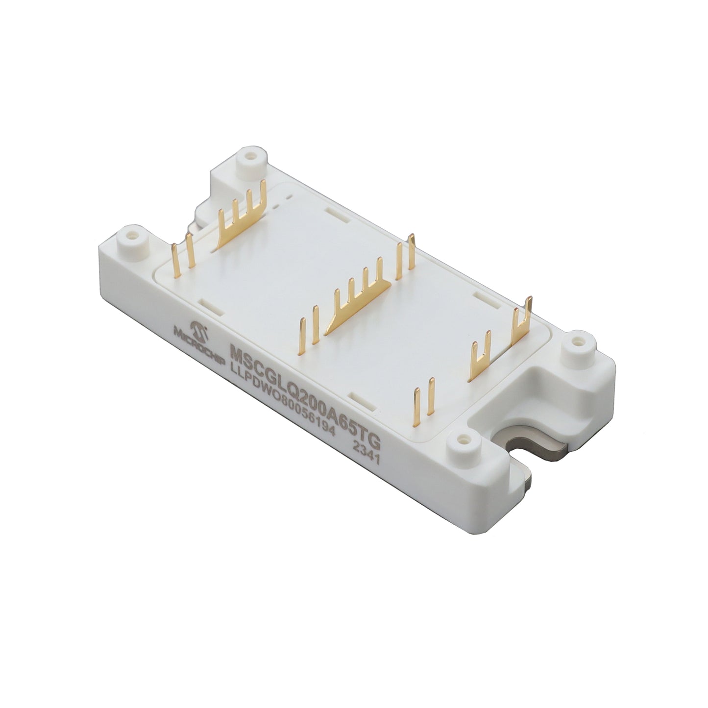 MSCGLQ200A65TG