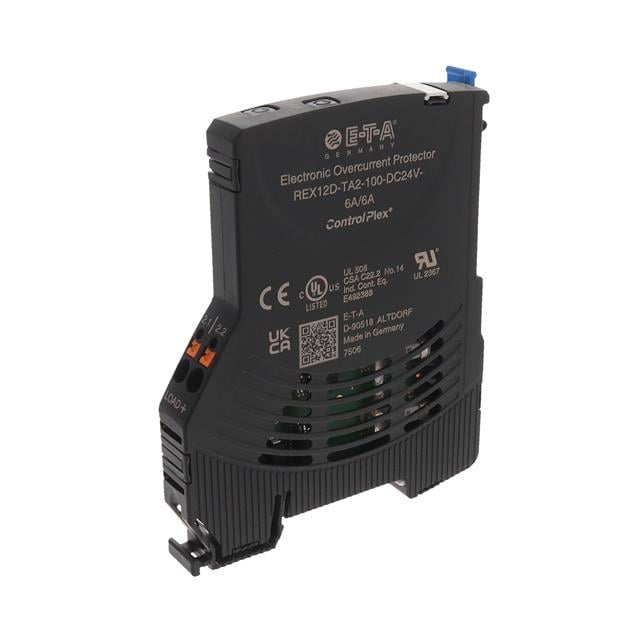REX12D-TA2-100-DC24V-6A/6A
