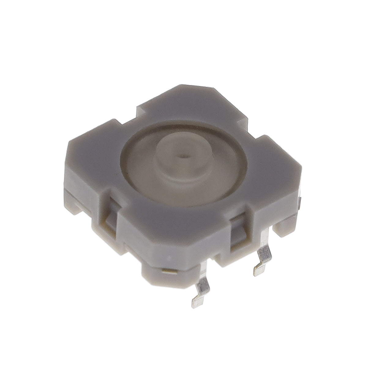 TSE 21495 S-1