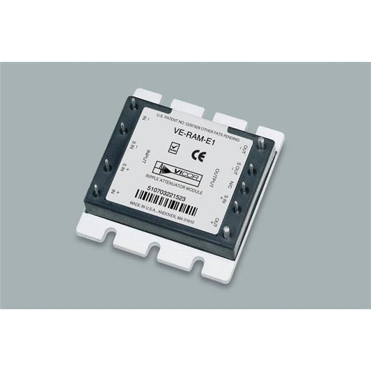 VI-RAM-E2